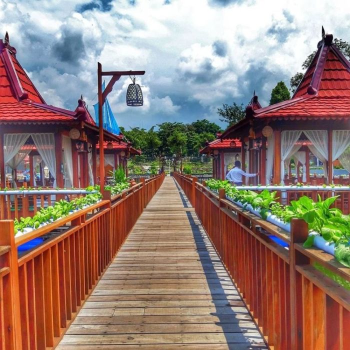 Tempat Makan View Sawah di Sleman