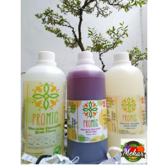 Minuman Probiotik Alami Buatan Rumah