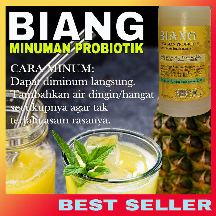 Minuman Probiotik Alami Buatan Rumah
