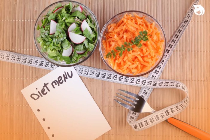 Tips Mengatur Menu Sehat untuk Program Weight Loss