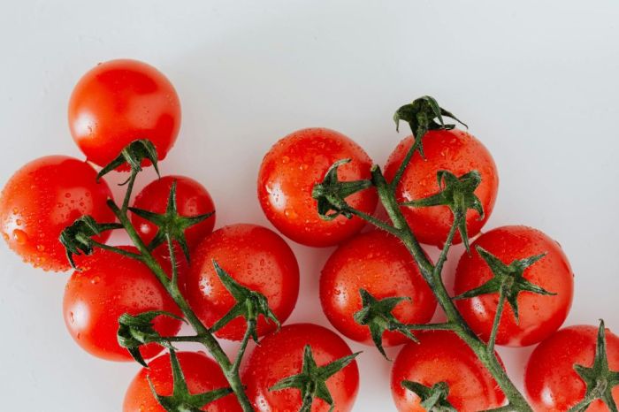 Resep Sup Tomat ala Italia untuk Perayaan Natal Sup Tomat Basil Ala Italia