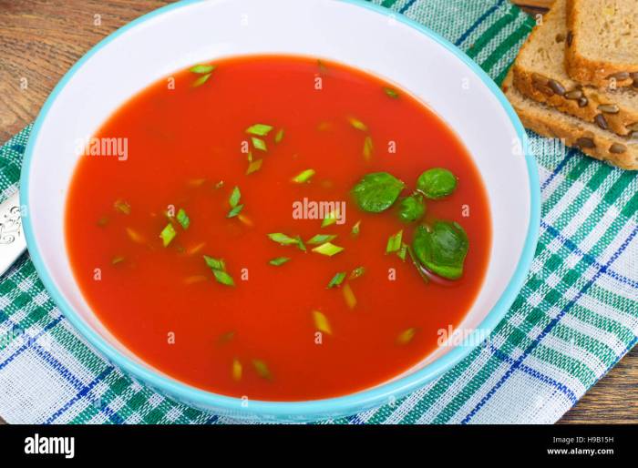 Tomato Soup with Basil in Plate. National Italian Cuisine Studio Photo ...