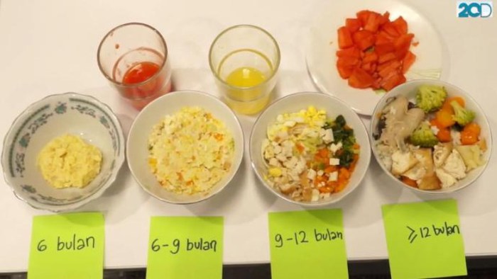 MPASI 6 Bulan: Puree Kentang & Hati Ayam