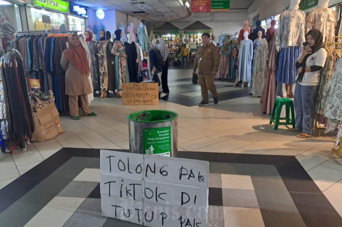 Mengenal Project S Tiktok yang Disebut Ancam UMKM Indonesia UMKM yang Berhasil Lewat TikTok Shop
